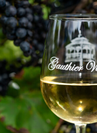 Grape harvest at Gauthier Vineyard