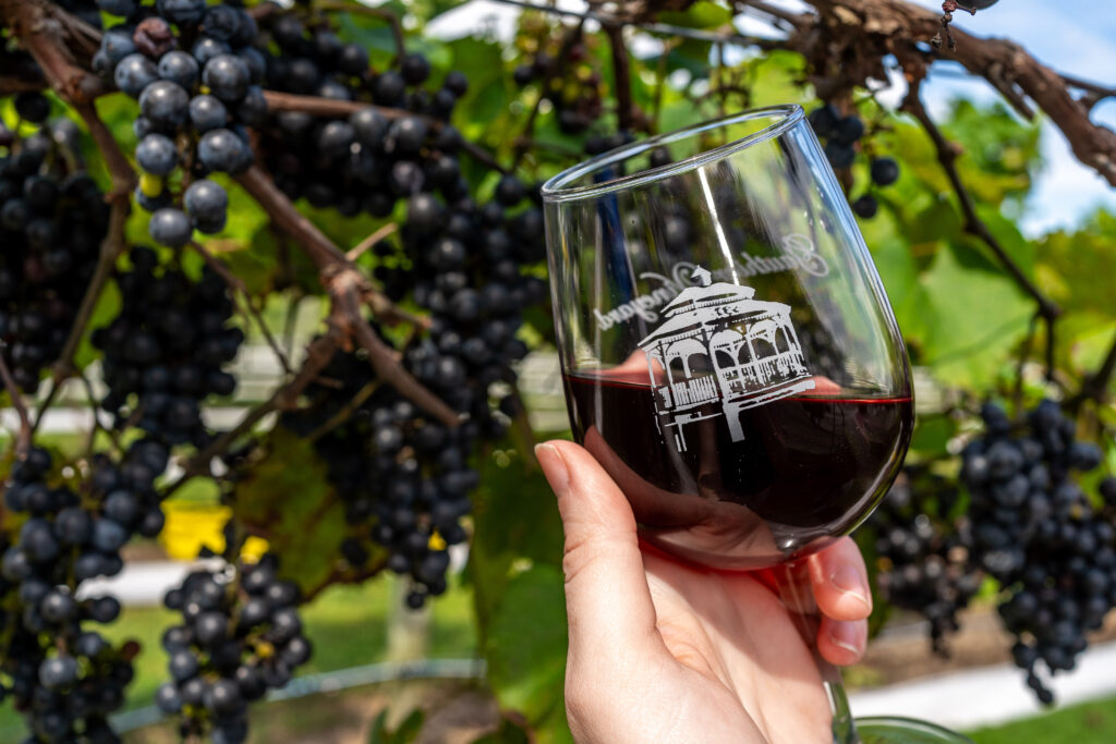 Grape harvest at Gauthier Vineyard