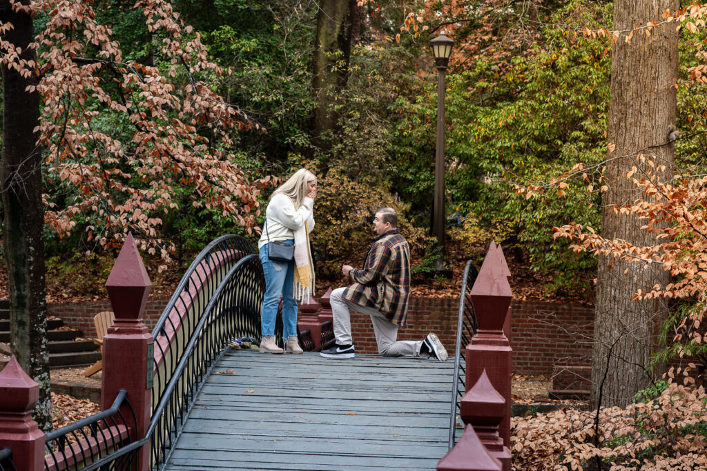 Crim Dell Bridge Proposal, Williamsburg, VA